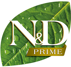 N & D Prime
