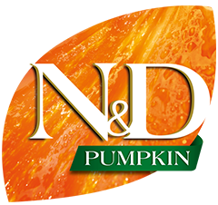 N & D Pumpkin