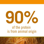 Farmina N&D Ancestral Grain Adult Mini Dog Food | Chicken, Spelt, Oats & Pomegranate | No Artificial Preservatives|Complete Nutrition for Adult Dogs - Image 2