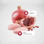 Farmina N&D Prime Adult Cat Food | Grain-Free, Low Glycemic | Chicken & Pomegranate |for a Strong Immune System| Complete Nutrition for Adult Cats - Image 2