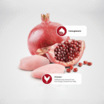 Farmina Pet Foods N&D Grain Free Chicken and Pomegranate Kitten Food - Image 2