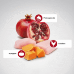 Farmina N&D Pumpkin Adult Mini Dog Food | Chicken, Pomegranate & Pumpkin | Rich in Anti-oxidants | Complete Food for Adult Dogs | No Artificial Preservatives - Image 2