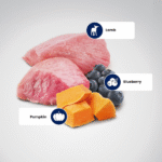 Farmina N&D Pumpkin Adult Medium/Maxi Dog Food | Lamb, Blueberry & Pumpkin | Rich in Anti-oxidants|Complete Food for Adult Dogs | No Artificial Preservatives - Image 2